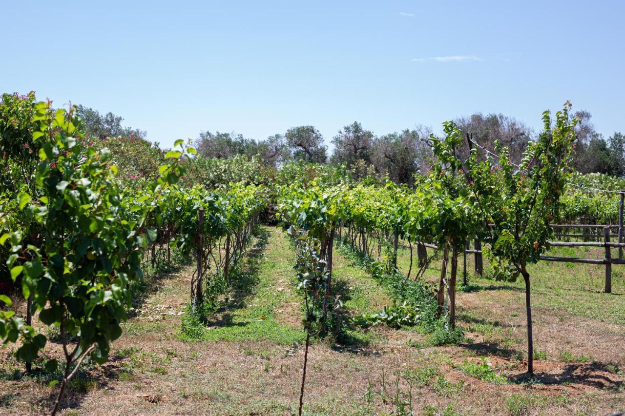 Masseria Messapia Wine Resort & Spa Salento Mesagne Eksteriør bilde