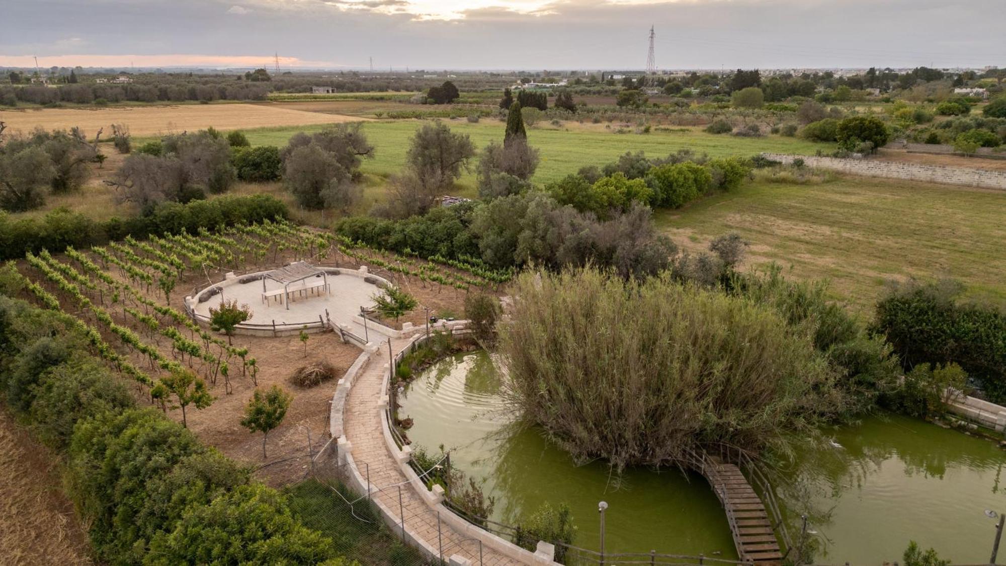 Masseria Messapia Wine Resort & Spa Salento Mesagne Eksteriør bilde